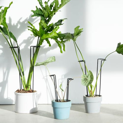 10Pcs Monstera Plant Support - 12" Durable Iron U-Shaped Trellis Stakes - color: Black, size: 12 Inch H