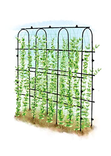 6 ft Tall, Garden Trellis for Climbing Plants Outdoor with Nylon Net for Cucumbers Vines Beans Raised Bed - Lightweight Metal, Black