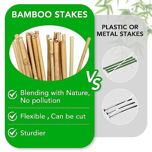 SWANGSA 75 Pack 4ft Garden Bamboo Stakes for Plant Support, Garden Poles for Tomatoes, Beans, Flowers, Potted, Indoor and Outdoor Climbing Plants - size: 4 Feet