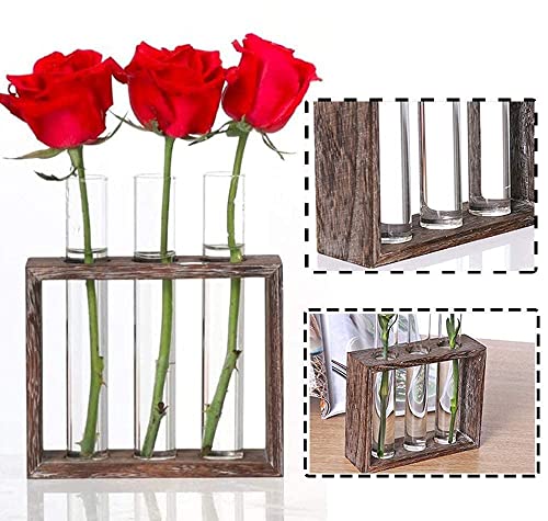 Wall Mounted Hanging Glass Test Tube Planter Propagation Station Glass Vase Rack with Wood Stand, Plant Terrarium Holder for Hydroponics Succulent Air Bamboo Plants with Test Tube