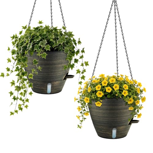 ZMTECH 12 Inch Self Watering Hanging Planter, 2 Pack Gold Bronze Finish Hanging Basket Plant Pot with 60 Oz Removable Reservoir & Water Level Indicator for Indoor Outdoor Plants - color: Gold Bronze-12"×2, size: 12 Inch - 2 Pack