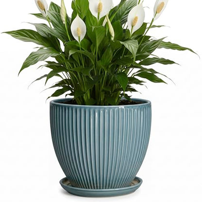 Ceramic Planter, 8 Inch Plant Pot Indoor with Saucer, Glaze Blue - color: Glaze Blue, size: 8 Inch