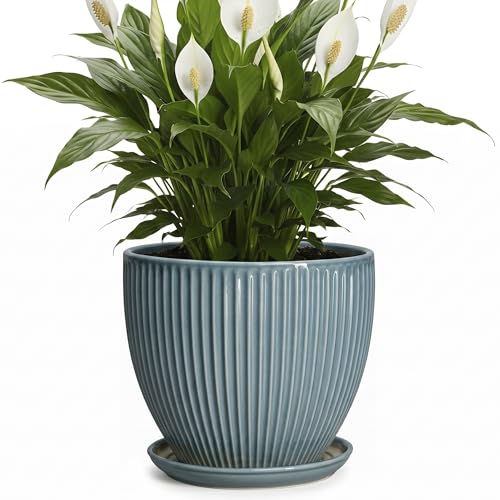 Ceramic Planter, 8 Inch Plant Pot Indoor with Saucer, Glaze Blue - color: Glaze Blue, size: 8 Inch