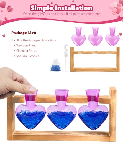 Nacome Plant Terrarium with Wooden Stand, 3 Heart Bulb Glass Vases - color: Purple
