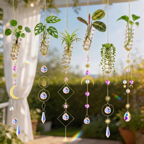 6pcs Plant Propagation Station Hanging Suncatcher with Chain Pendant