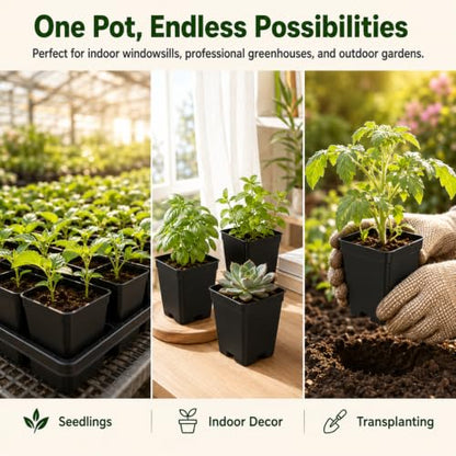 Remerry 250 Pcs Square Nursery Pots 2.63 x 3.5 Inches (D x H) Plastic Seedling Pots with Drainage Holes, Seeds Starter Germination for Plants, Black