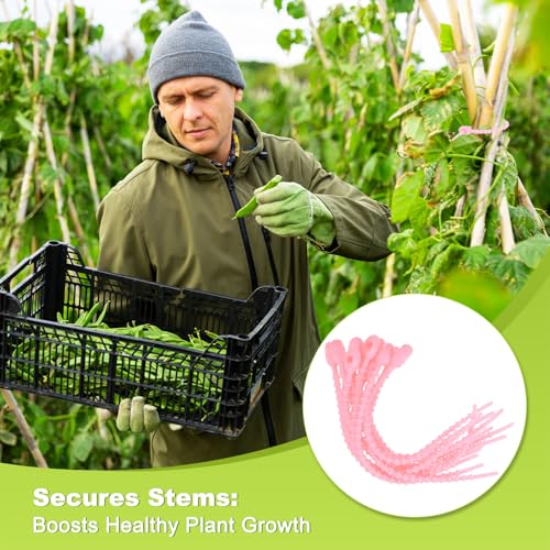 M METERXITY 24-Pack Adjustable Plant Ties, 4.7/5.9/6.7/8.2 Inch Silicone Flexible Multi-Function Garden Twist Tie for Crafts/Gift Wrapping/Gardening Plants, Reusable Support Twine [Pink] - color: Pink