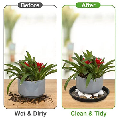 6Pack 8,10,12Inch Plastic Drip Trays Plant Saucers for Indoors Outdoor Plant, Thick Heavy Durable Sturdy Flower Pot Trays for Pots Planter, Black… - size: 8+10+12inch