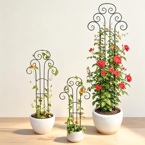 31 Inch Trellis for Potted Plants - Iron Support for Climbing Vines - size: 31"H