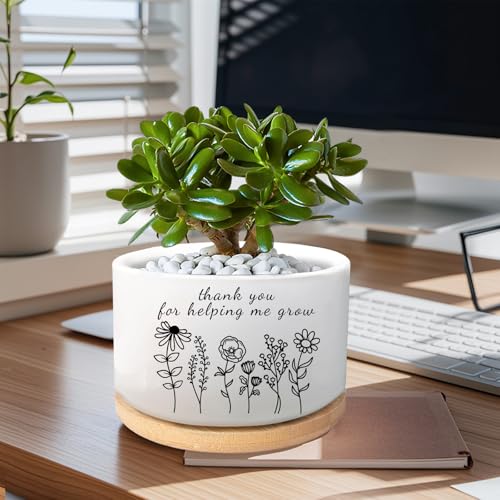 Thank You Gifts for Teacher, Succulent Plant Pot (Plants Not Included) - style: Thanks for helping me grow