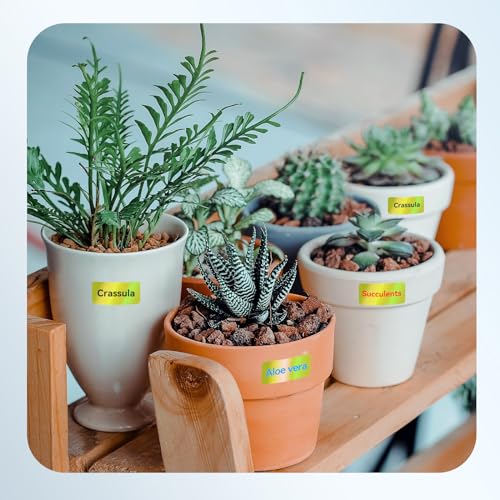 NIIMBOT Thermal Transfer Labels 0.55''x1.18'', Only for N1/B18 Label Maker - color: 0.55''×1.18''-hologram