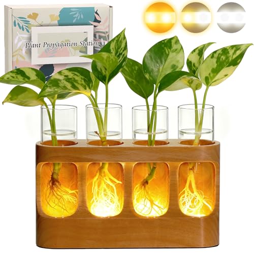 Plant Propagation Station with Wood Stand, 3-Mode 9-Level Adjustable Lights