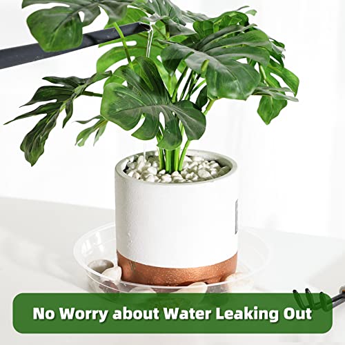 TRUEDAYS 20 Pack Plant Saucers (6 inch / 8inch / 10inch / 12inch) Clear Plant Saucers Flower Pot Tray Excellent for Indoor & Outdoor Plants - size: 6,8,10,12Inch