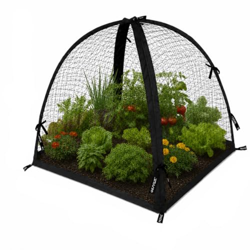NuVue Products 32109 Pop-Up Garden Netting Pest Guard Cover with Ground Spikes, Mesh Plant Cover Tent for Pest and Animal Control, Black, 52" x 52" x 54" - color: Black, size: 52" x 52" x 54"
