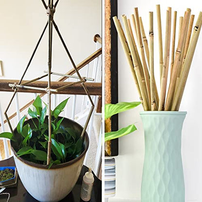50Pcs Garden Stakes, 0.32”/16 Inch Bamboo Sticks，Natural Plant Stakes for Indoor and Outdoor Plants，Poles for Tomatoes, Beans, Potted Plants - size: 16In,Pack of 50