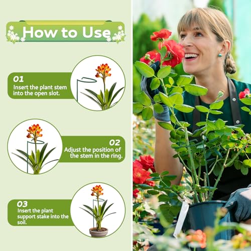 Avxdbr 5Pcs Plant Stakes for Flowers 23.6 Inch Or 11.8 Inch Metal Plant Cage Support Rings Garden Single Stem Stake with Adjustable Height for Garden Support Indoor Outdoor Plants