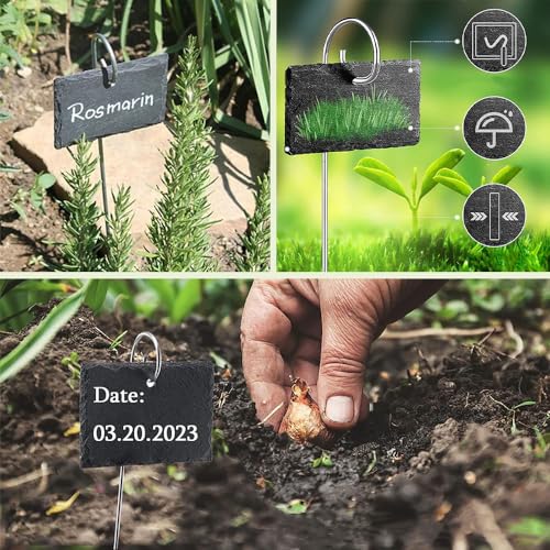 Slate Plant Labels Garden Markers Signs Labels with Stainless Steel Stake & Marker Pen Waterproof Slate Plant Labels for Flowers, Herbs, Potted Plants, Seed (Rectangular, 10PCS) - size: 10PCS, style: Rectangular
