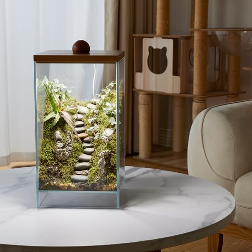Large Glass Plant Terrarium: 13.7H+7.8W Terrarium with Light - size: H-13.7IN