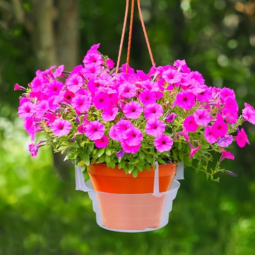 Adnee 12 Pcs 12 Inch Hanging Plant Water Catcher-Clear Plastics Plant Water Catcher Tray-Hanging Plant Saucers Drip Pans for Indoor Outdoor Hanging Basket Flower Pot - color: 12 Inch-12 Pcs