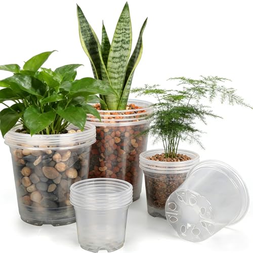 3/4/5/6 Inch Nursery Pots, 20 Pack Clear Nursery Pots with Drainage Holes, Durable Plastic Clear Pots for Plants Indoor and Outdoor, Seedling Pots for Shrubs, Herbs, Flowers, Vegetables - size: 3/4/5/6 Inch