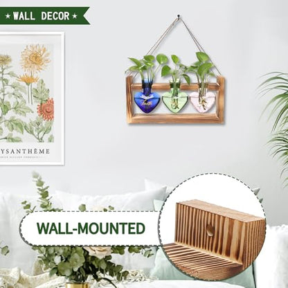 Plant Terrarium Propagation Stations Hydroponics - color: Color 1(Faith Hope Love)