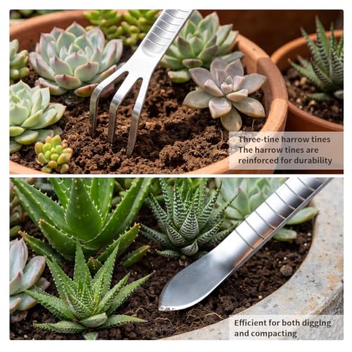 Bonsai Tools, Bonsai Root Rake, Small Root Hook,Rake Pic for Soil Loosening - size: 4 Pack