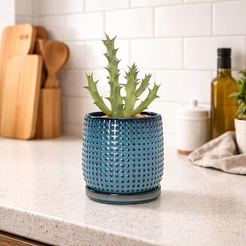 D'vine Dev Beaded Ceramic Pot with Saucer, 4 in, Ocean Teal, 27-C-Z-8 - color: Ocean Teal, size: 4.3 Inch