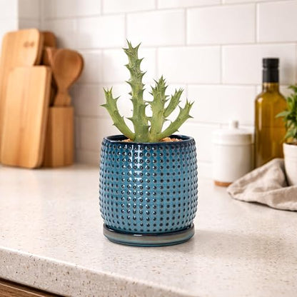 D'vine Dev Beaded Ceramic Pot with Saucer, 4 in, Ocean Teal, 27-C-Z-8 - color: Ocean Teal, size: 4.3 Inch