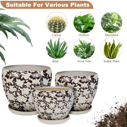 Ceramic Plant Pots With Saucer & Drainage, 6 inch Indoor Flower Pots - color: White, size: 6 inch