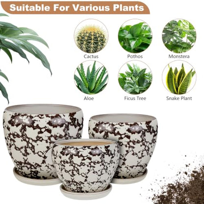 Ceramic Plant Pots With Saucer & Drainage, 6 inch Indoor Flower Pots - color: White, size: 6 inch