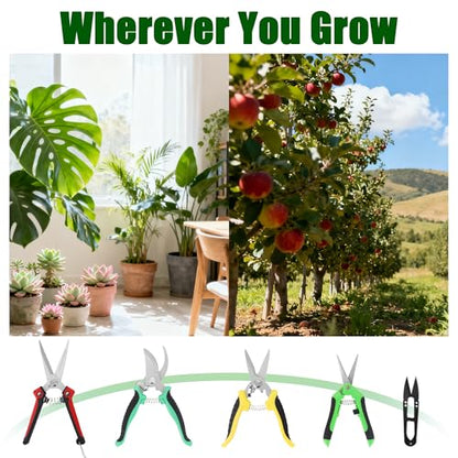 5-Piece Garden Pruning Shears Set with Gloves & Storage Bag, Stainless Steel Gardening Scissors Kit, Sharp Non-Slip Clippers for Trimming Flowers, Herbs, Small Branches