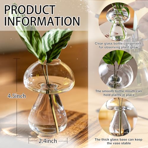 Mushroom Glass Planter, Plant Propagation Station, Cute Mushroom Vase, Clear Glass Terrarium Jar Propagation Vase for Indoor Plants Home Decor, Gifts for Plant Lovers (2)