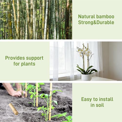 0.32”-0.4"/18Inch Garden Stakes, Natural Bamboo Sticks Plant Stakes for Indoor and Outdoor Plants，Poles for Tomatoes, Beans, Potted Plants(50Pcs)… - size: 18In,Pack of 50