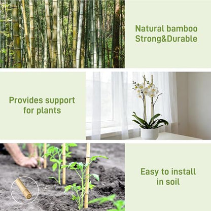 0.32”-0.4"/18Inch Garden Stakes, Natural Bamboo Sticks Plant Stakes for Indoor and Outdoor Plants，Poles for Tomatoes, Beans, Potted Plants(50Pcs)… - size: 18In,Pack of 50