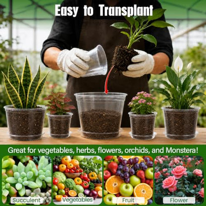 MIXC 12/10/8/6/5 Inch 20 Pack Clear Nursery Pots with Drainage & Sacuer - size: 12/10/8/6/5 IN*20 Pack