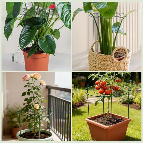Lancisism 8 Pack Peony Cages and Supports - Heavy Duty Grow Through Metal Plant Support for Outdoor Plants - Plant Support Frame Ring for Rose Tomato Hydrangea Sage Strawberry 12" D x 16" H