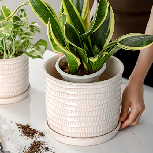 8 Inch Ceramic Planter with Drainage Hole & Bonded Saucer - color: Wave Embossed, size: 8 inch