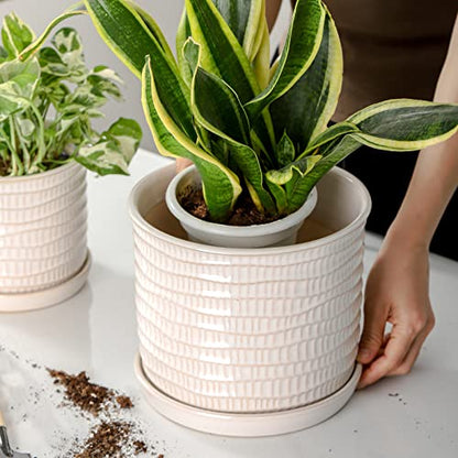 8 Inch Ceramic Planter with Drainage Hole & Bonded Saucer - color: Wave Embossed, size: 8 inch