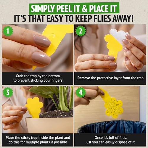 Super Ninja Fruit Fly & Fungus Gnat Traps for House Indoor (2 + 10) - size: 10+2 Pack
