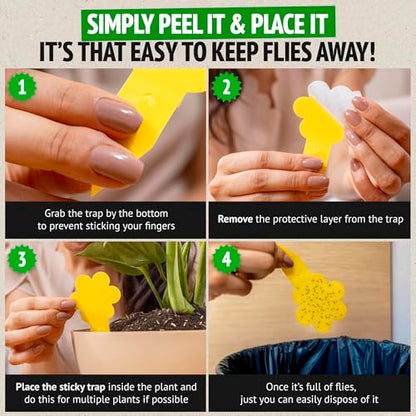 Super Ninja Fruit Fly & Fungus Gnat Traps for House Indoor (2 + 10) - size: 10+2 Pack
