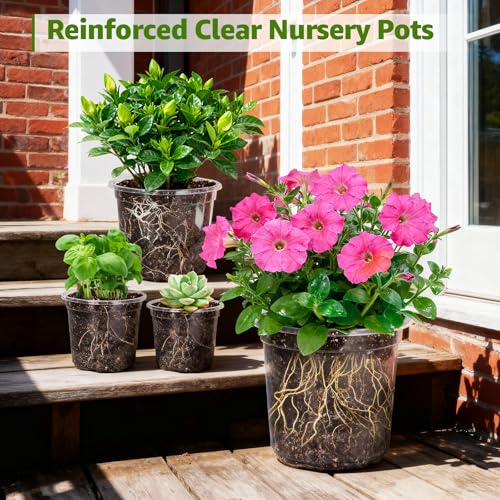 MIXC Clear Nursery Pots with Drainage Hole & Sacuer, 6/8/10/12Inch, 20 Pack - size: 6/8/10/12 Inch-20 Pack