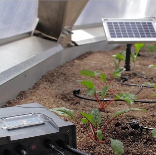 AEO Solar-Powered Automatic Watering Drip Irrigation System, 50 Drippers, 155 ft for Balcony Greenhouse Raised Garden Bed - size: 50 Drips