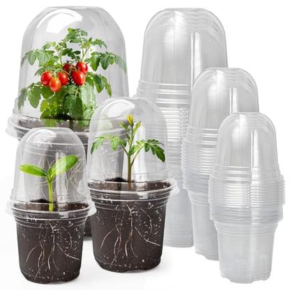 MIXC Clear Nursery Pots with Humidity Domes, 5/4/3.5 Inch 30 Pack - color: Transparent, size: 3.5/4/5 Inch-with Lid