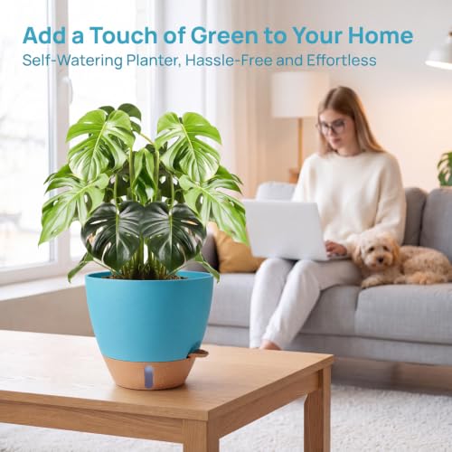 Ecolley Plant Pots 8/10/12 Inch Self Watering Pots, Set of 3 Plastic Planters with Drainage Holes and Saucers,Plastic Flower Pots,Nursery Planting Pot for Indoor Out Door PlantsBlue Green - color: Blue Green
