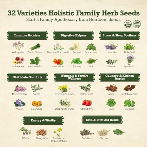 Lush&Dew Holistic Family Apothecary Seed Chest, 30000+ Medicinal Herb Seeds - style: Holistic Family Herbs