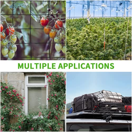 iPower 3x3FT Elastic Trellis Netting, Heavy-Duty Plant Net with Hooks, Flexible Hydroponics Support for Indoor Plants, Gardening, Vegetables, Black
