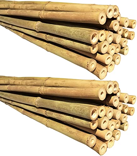 Natural Bamboo Poles, Eco-Friendly Plant Support Garden Stakes 6ft Long, Diameter of 5/8" (50-Count) - size: 6 ft, 5/8" Diameter (50-Count)