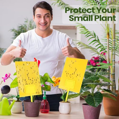 Qualirey 250 Pcs 6 x 8 in Yellow Sticky Traps for Gnats Plant Insect Trap - color: Yellow