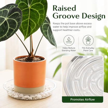 Gardzen Heavy Duty Clear Plastic Plant Saucers, Flower Pot Tray - Excellent for Indoor & Outdoor Plants (6-Inch, 10-Pack) - size: 6 Inch