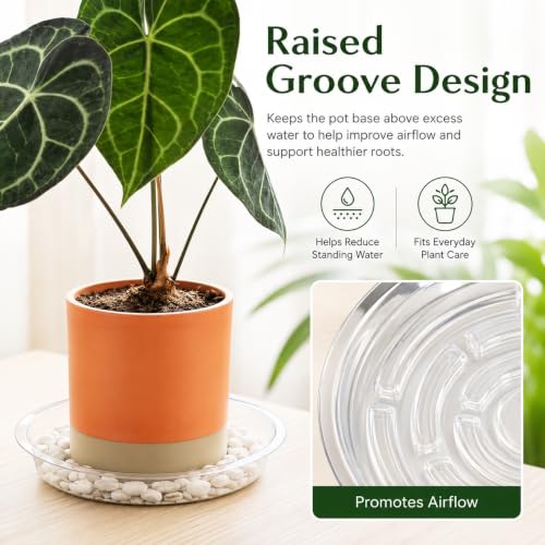Gardzen Heavy Duty Clear Plastic Plant Saucers, Flower Pot Tray - Excellent for Indoor & Outdoor Plants (13-Inch, 10-Pack) - size: 13 Inch